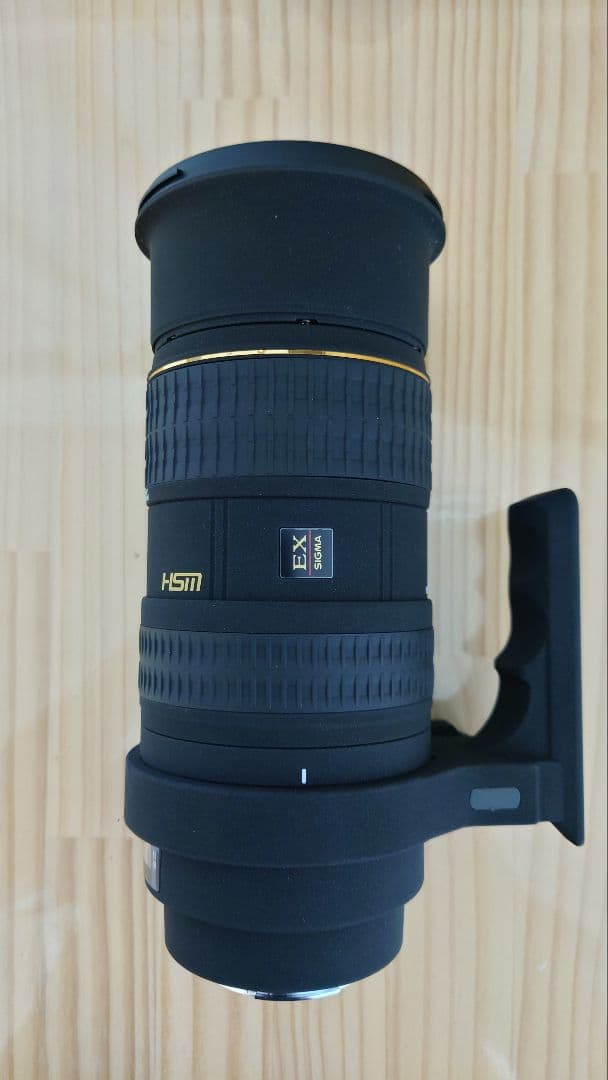 SIGMA シグマ APO 50-500mm F4-6.3 HSM キャノン