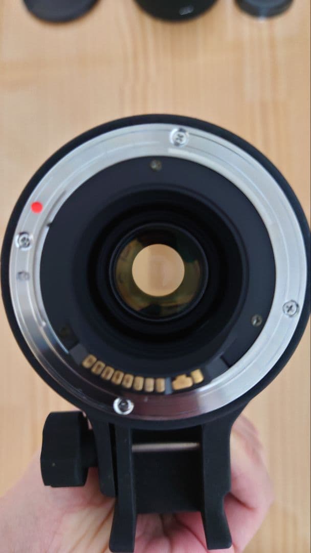 SIGMA シグマ APO 50-500mm F4-6.3 HSM キャノン