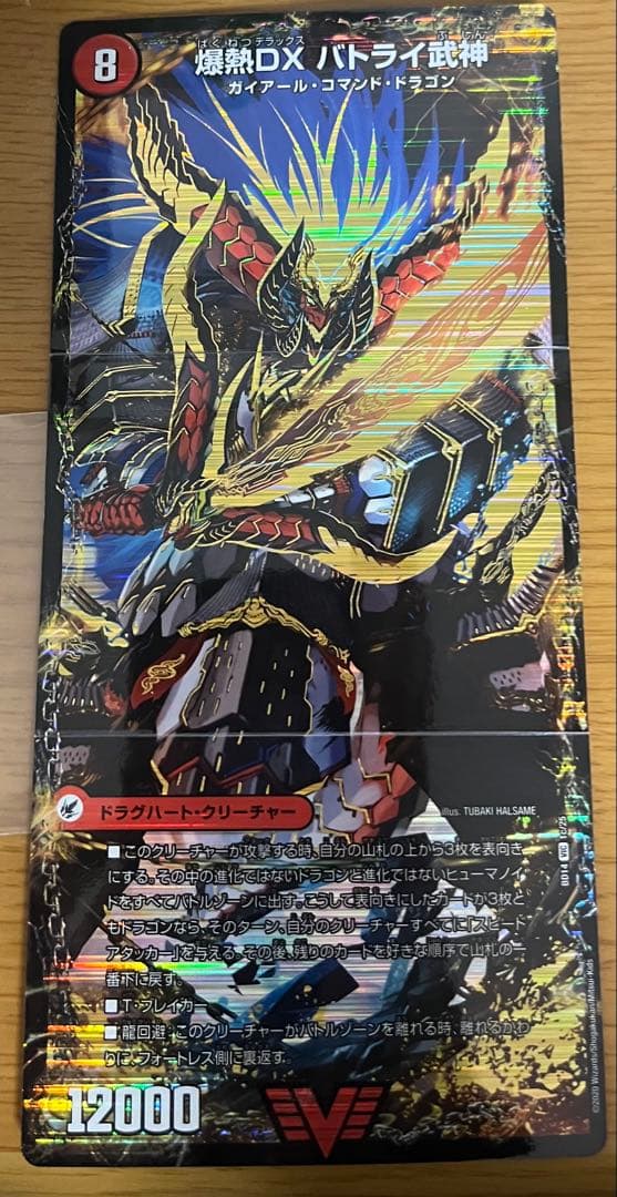 双龍覇王 モルトversus バトライ刃