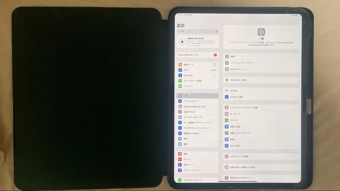 iPad Pro M4 13インチ　Wi-Fi＋Cellular 256GB