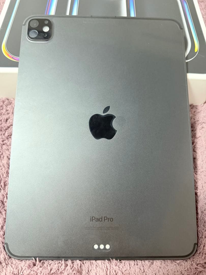 【超美品】iPad Pro 11インチ (M4) 256GB スペースグレー