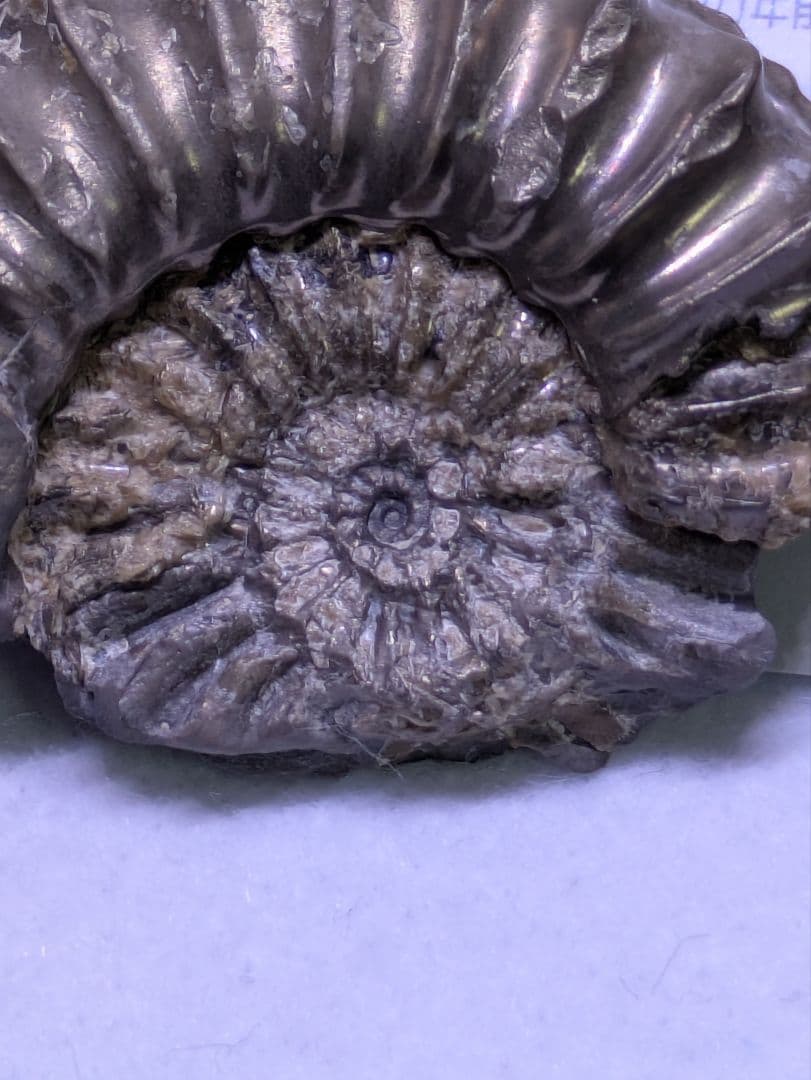 ケンケン　4点セット