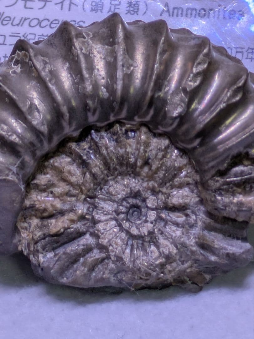 ケンケン　4点セット