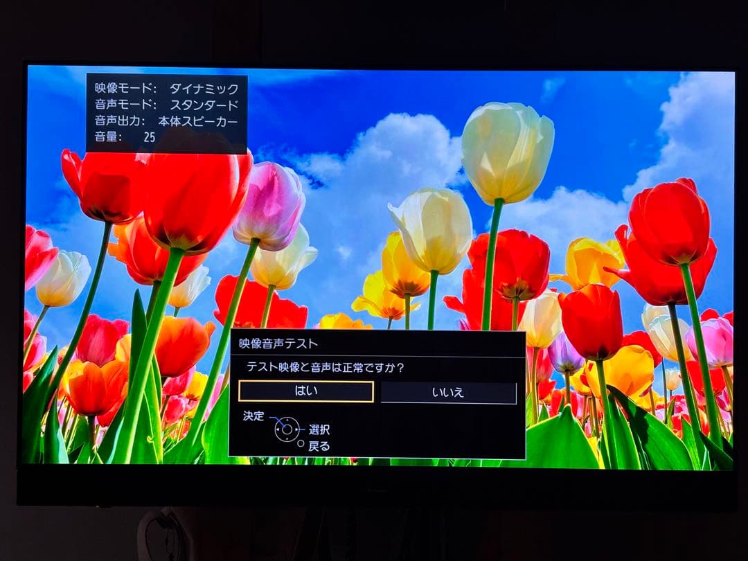 Panasonic TH-55JZ2000 55インチ有機ELテレビ