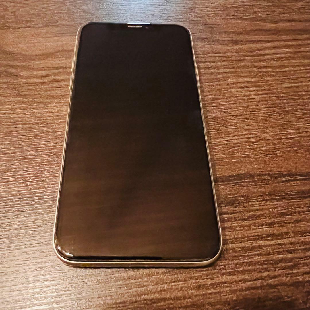 iPhone X 64GB 本体 SIMフリーデータ消去オプション込み