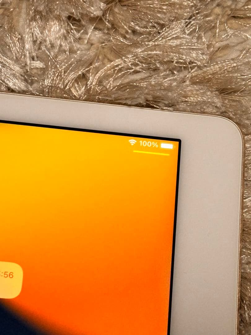 【Apple】iPadAir2 本体 動作確認済