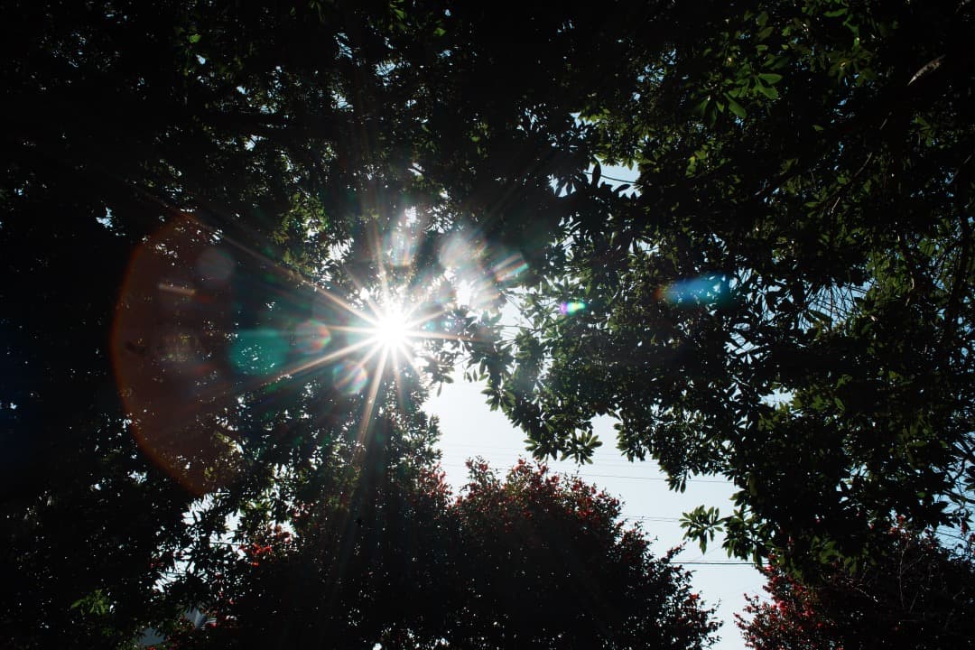 【美品】動作◎ ニコン Ai-s Nikkor 24mm F2.8 773