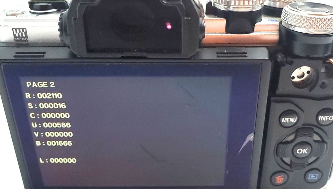 《 S数2210回！ 》OLYMPUS OM-D E-M10 II ボディ