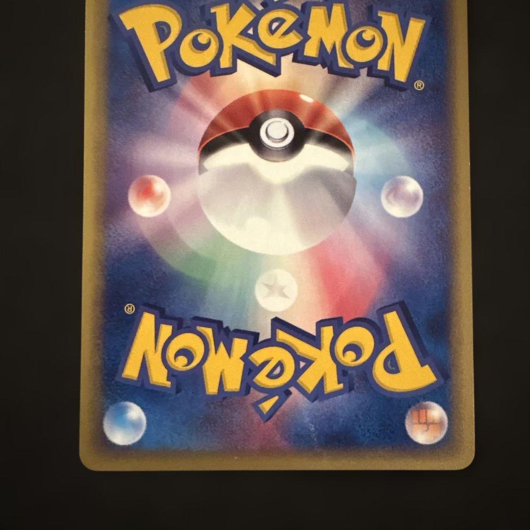 リザード・カメール・トレーナーズマガジンプロモまとめ売