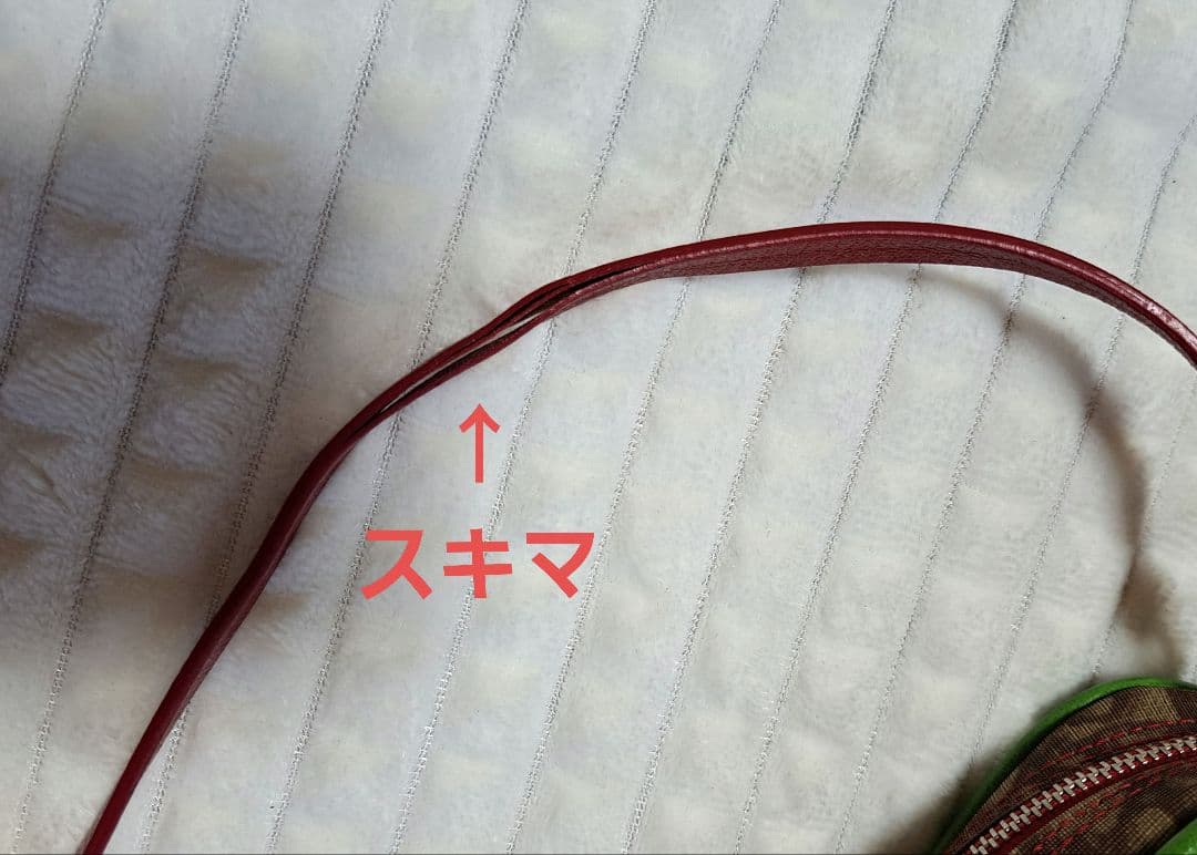 クリスチャンディオール　ラスタ　トロッター　アクセサリーポーチ　ミニバッグ