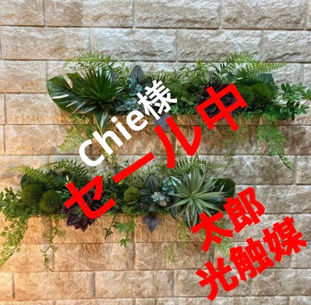光触媒　人工観葉植物　ウォールグリーン　フェイクグリーン　壁掛け110340