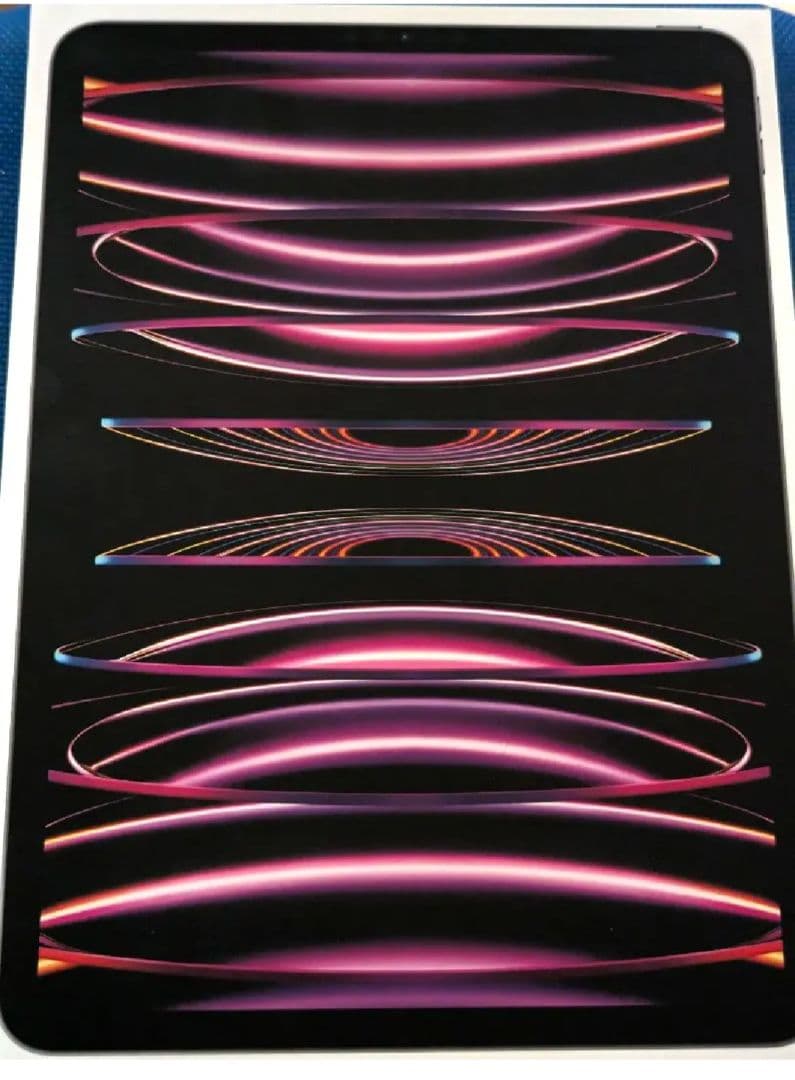 数回使用Apple iPad Pro 11インチ 第4世代 256GB シルバー