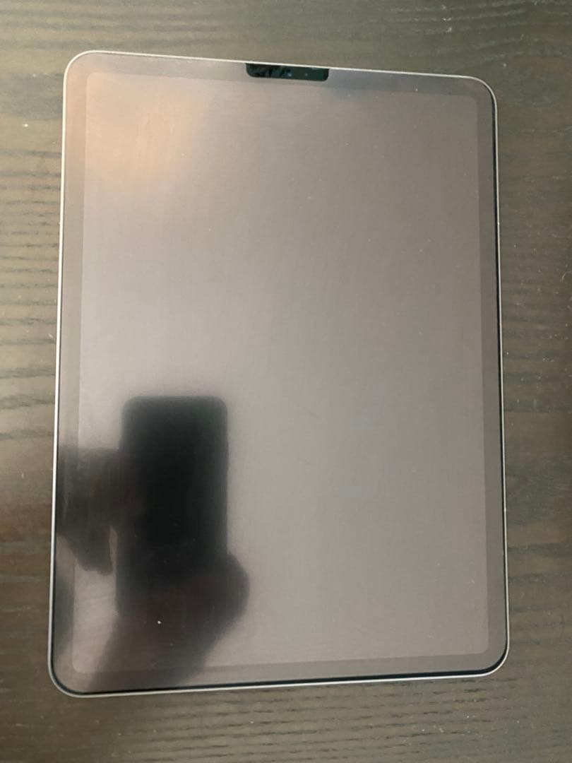 Apple iPad Pro 第二世代 Wi-Fiモデル 256GB 11インチ