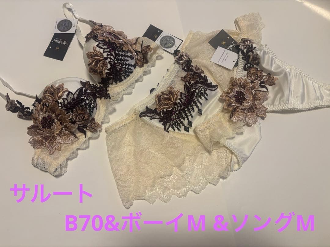 ワコール サルート B70&ボーイM &ソングM IV