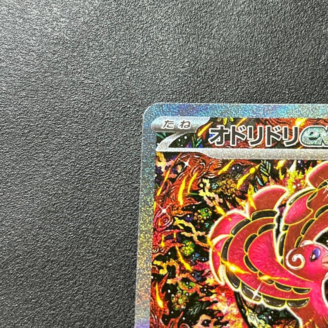 ポケモンカード　インフェルノX オドリドリex SAR