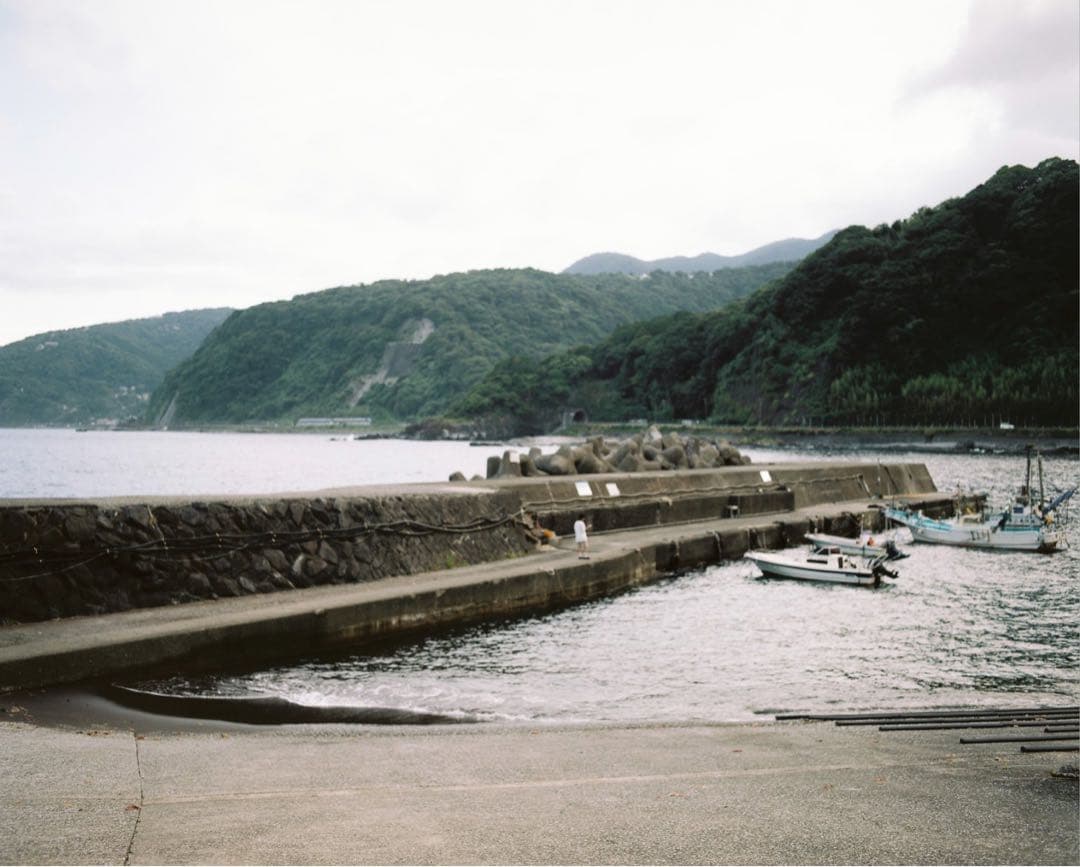 レンズ(単焦点) PENTAX67 75mm f/4.5