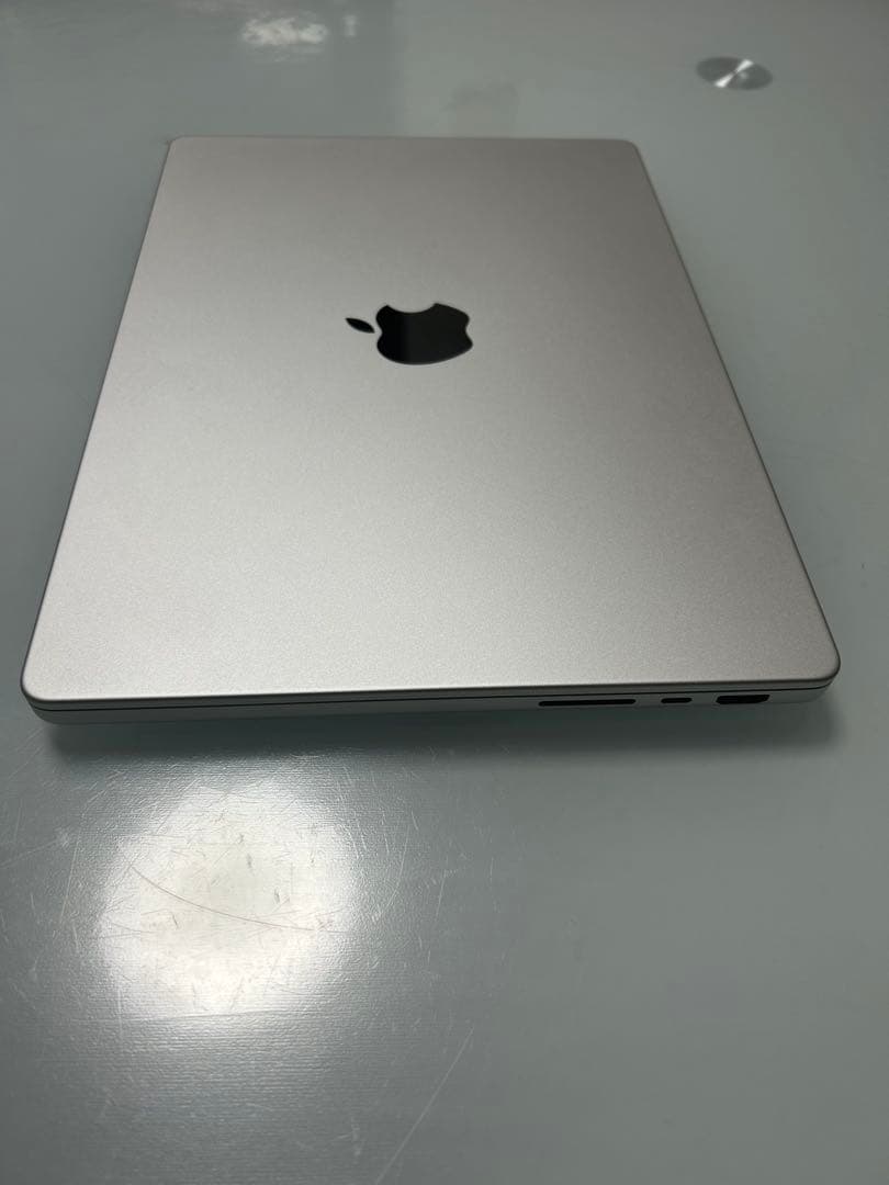 しまうまとくじら