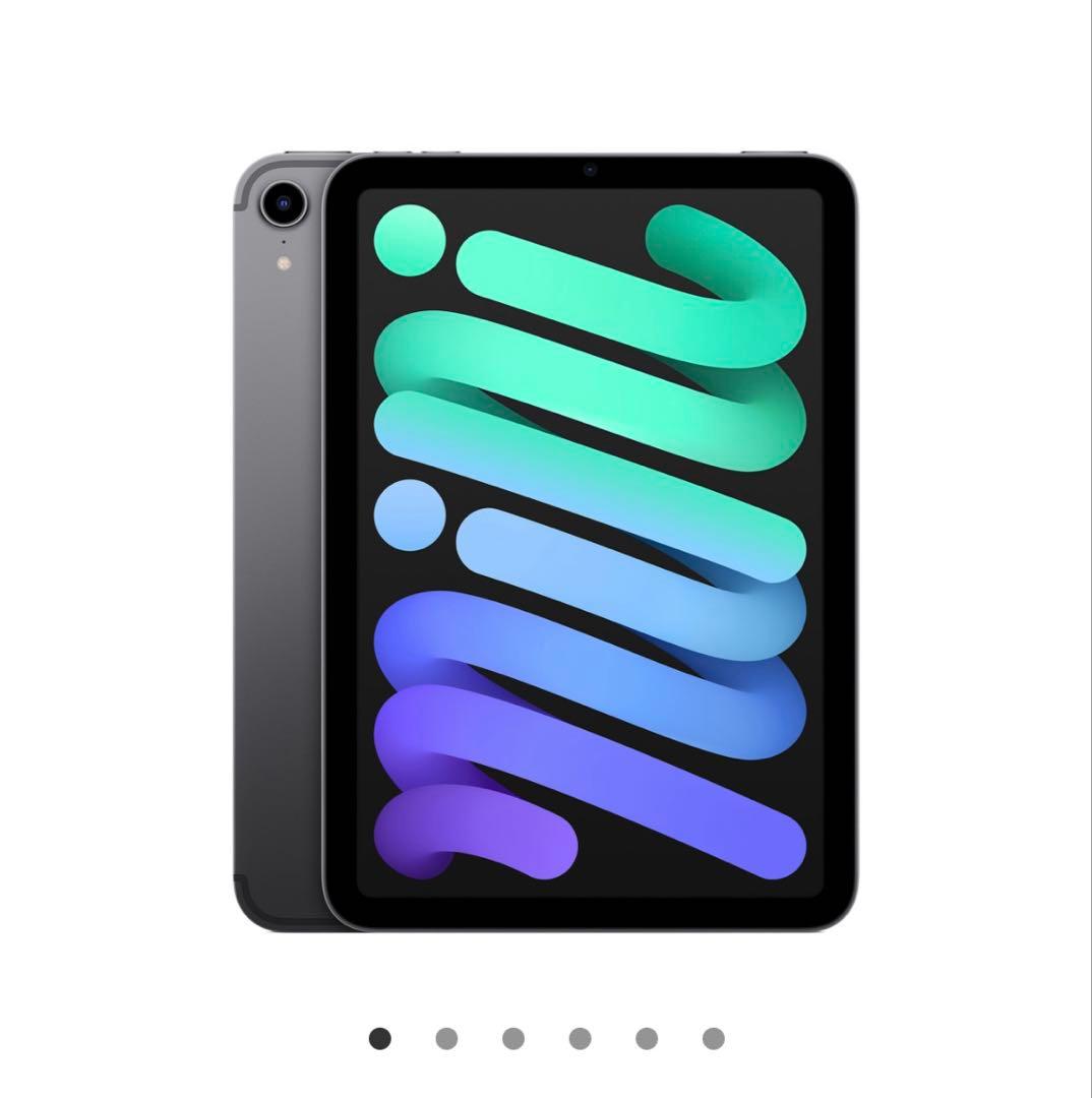 ipad mini 256GB （第6世代） apple pencil付き