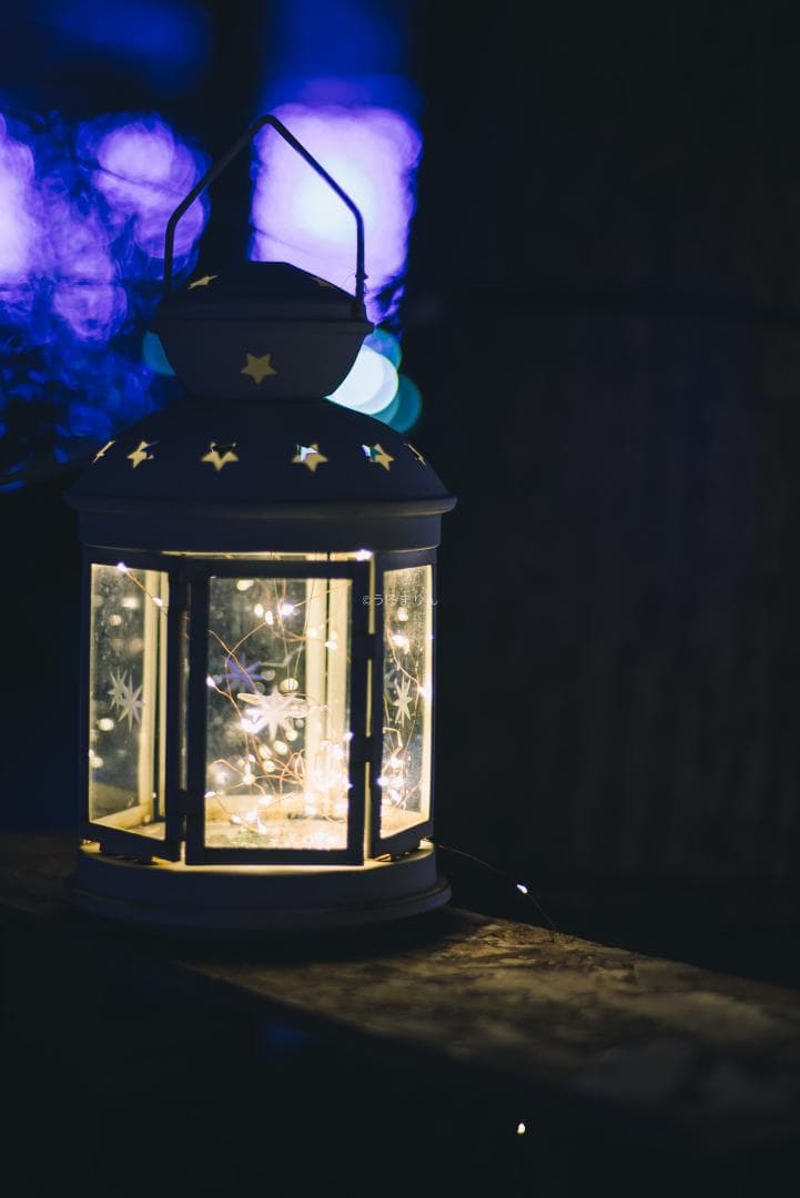 OH済！ポートレートに！CONTAX Planar 85mm F1.4 AEG