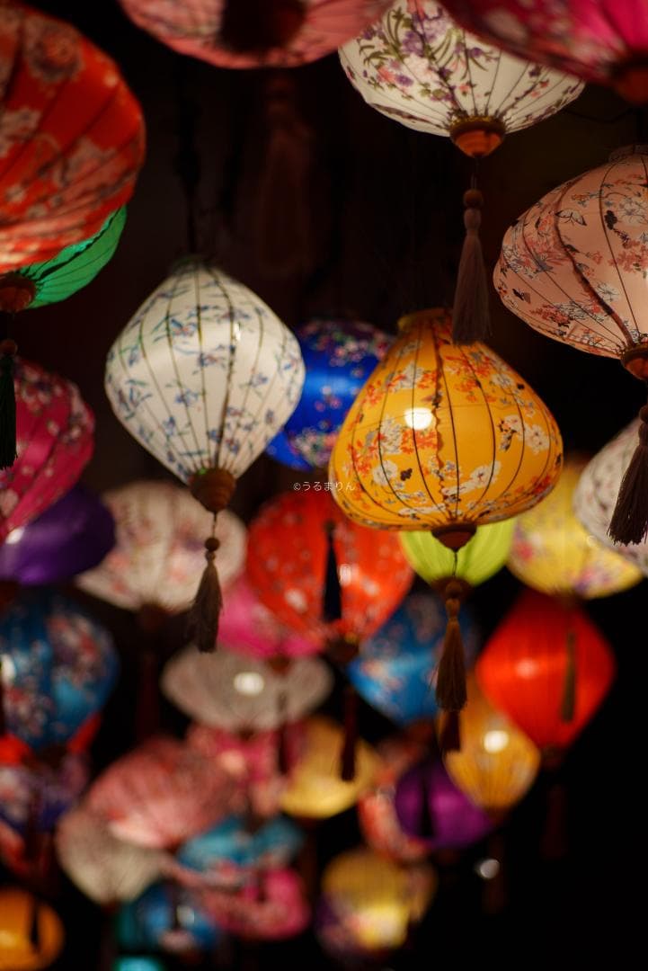 OH済！ポートレートに！CONTAX Planar 85mm F1.4 AEG