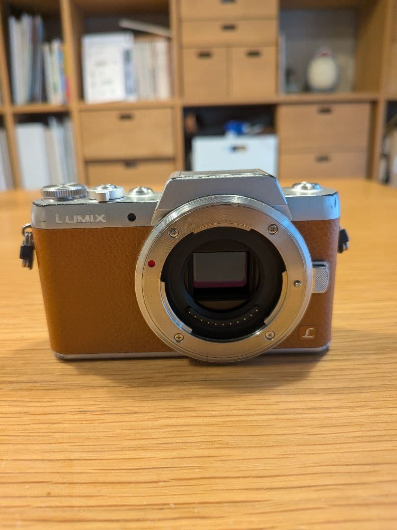 パナソニック LUMIX DMC-GF7 ボディ