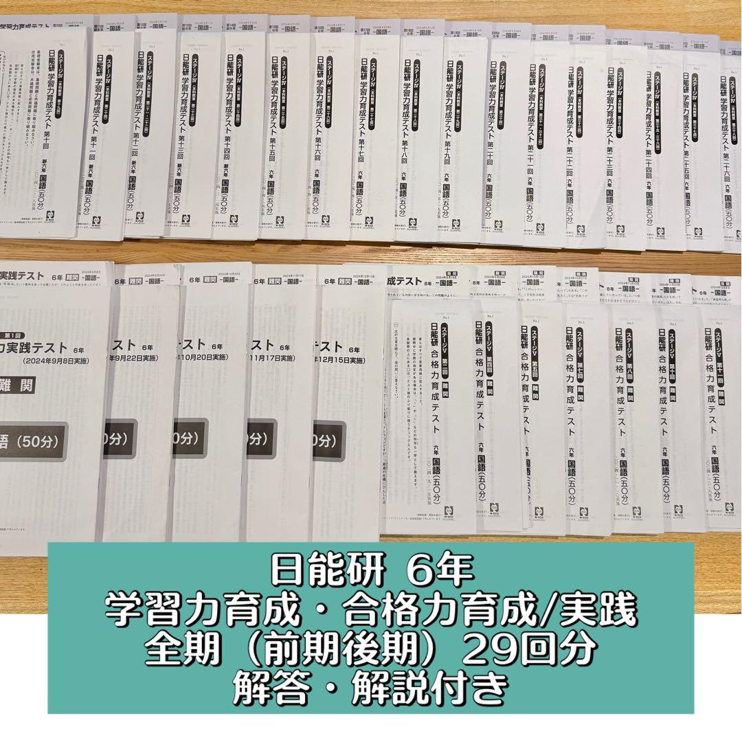 日能研 6年 学習力育成・合格力育成/実践テスト 解答解説付き 2024年度