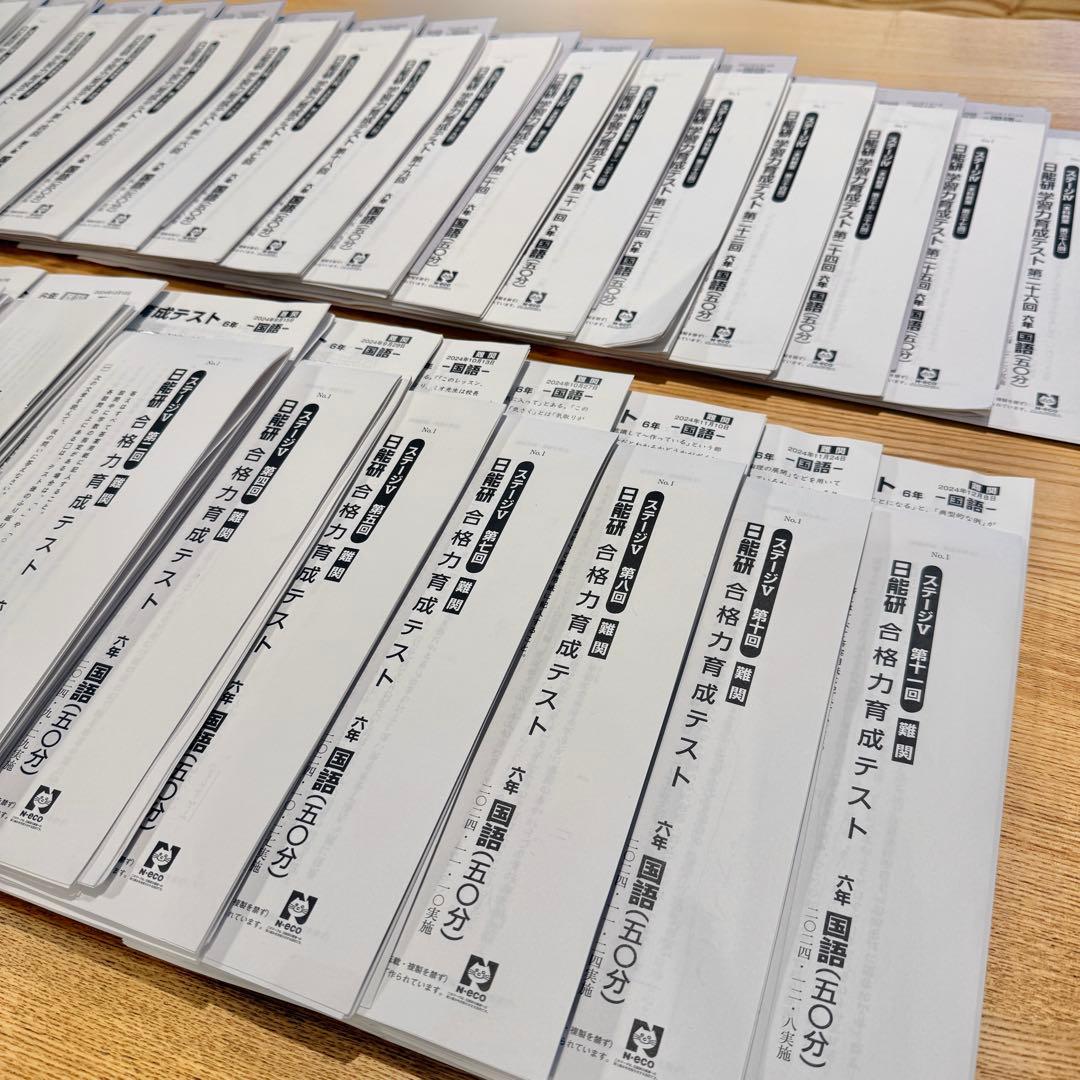 日能研 6年 学習力育成・合格力育成/実践テスト 解答解説付き 2024年度