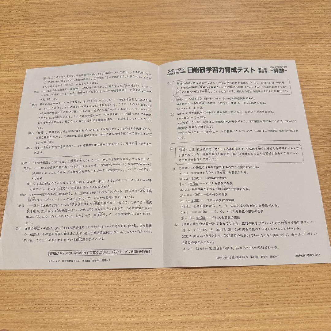 日能研 6年 学習力育成・合格力育成/実践テスト 解答解説付き 2024年度