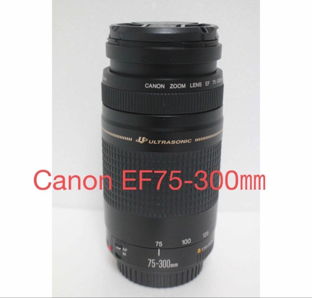 迫力の300mm☆極上品☆フード付☆キャノン Canon EF75-300