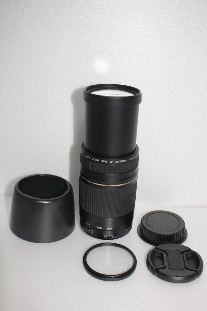 迫力の300mm☆極上品☆フード付☆キャノン Canon EF75-300