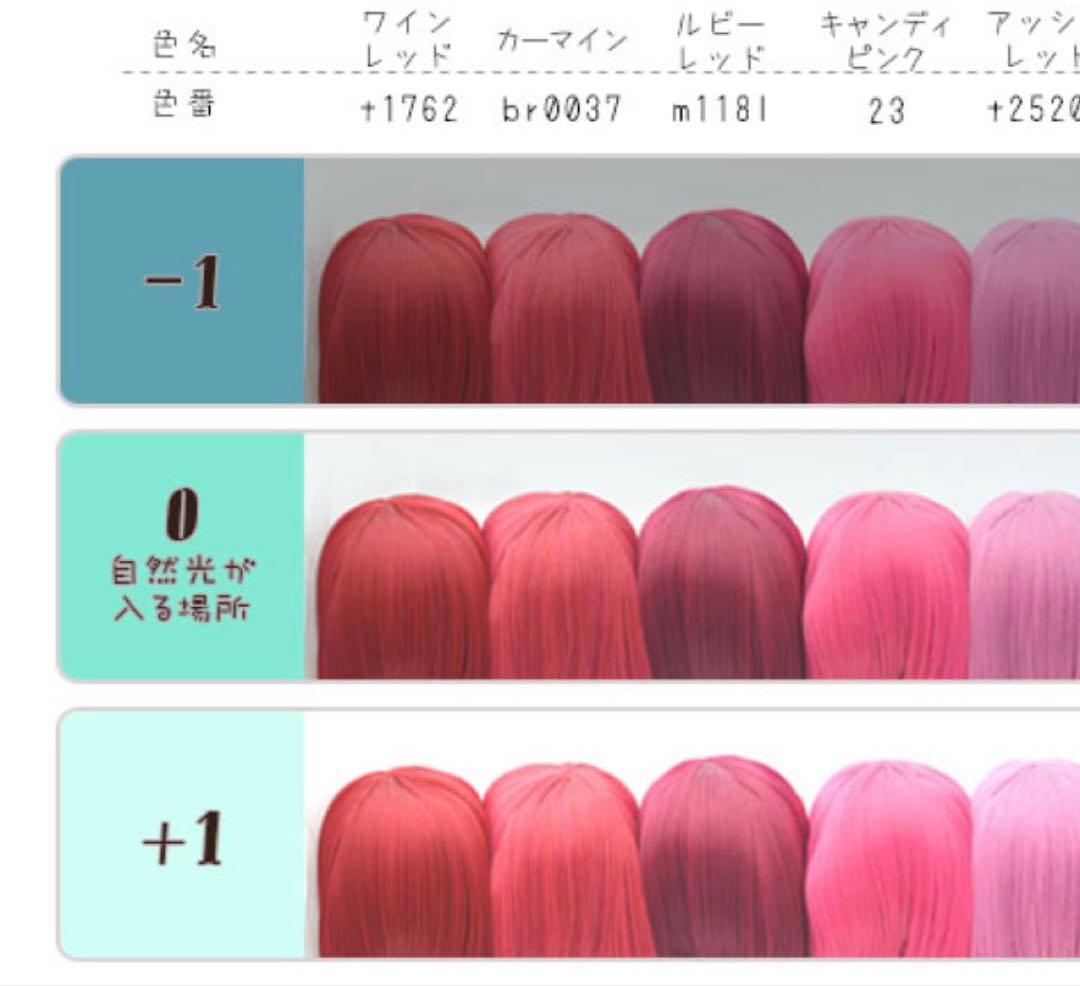 【ツイステ】リドル　セット済み　ウィッグ　コスプレ