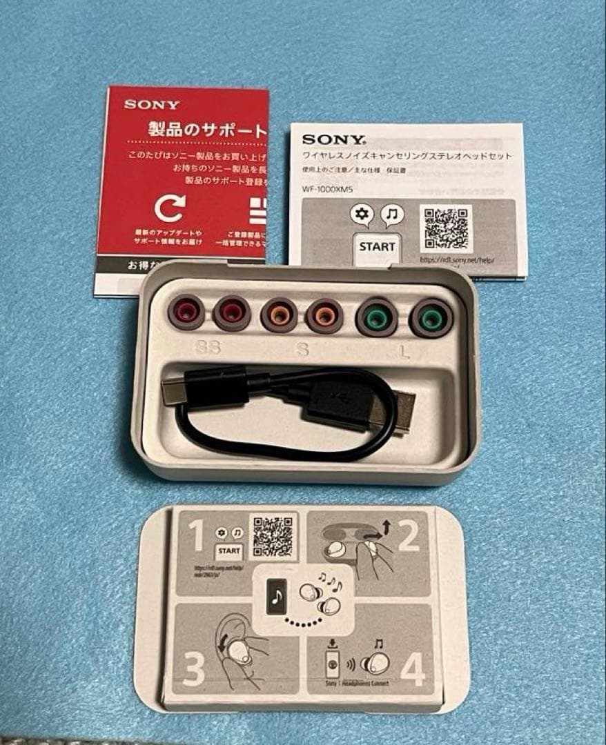 SONY 完全ワイヤレスイヤホン WF-1000XM5 スモーキーピンク