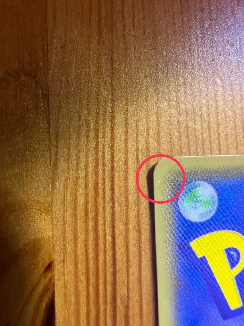 リザードンGX 052/051 闘う虹を見たか