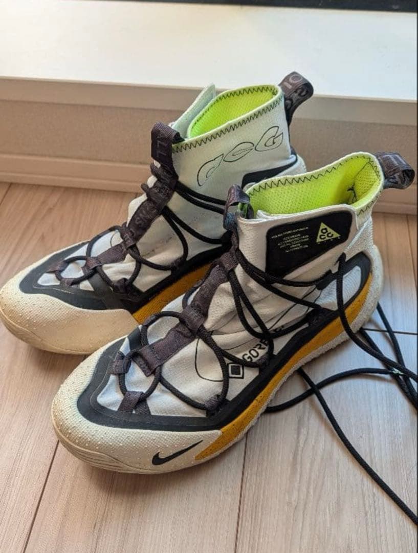 靴 NIKE ACG AIR TERRA ANTARKTIK GORETEX