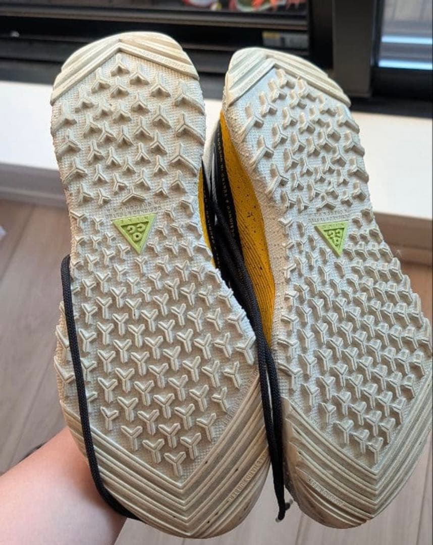 靴 NIKE ACG AIR TERRA ANTARKTIK GORETEX