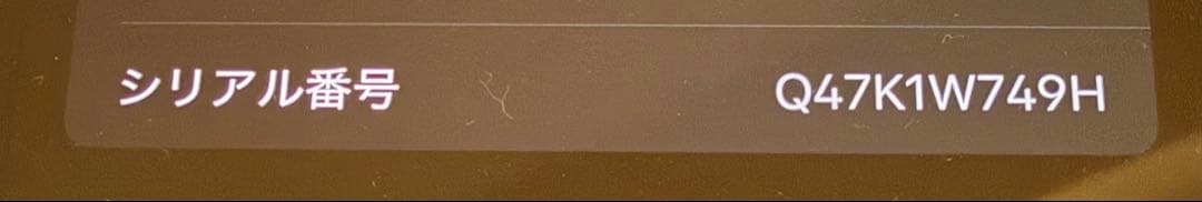 【メシメシ】Apple iPhone 13 Pro 256GBシエラブルー