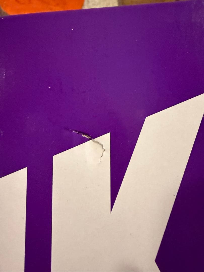 Eric Koston Nike SB Air Max 95 エリック コストン