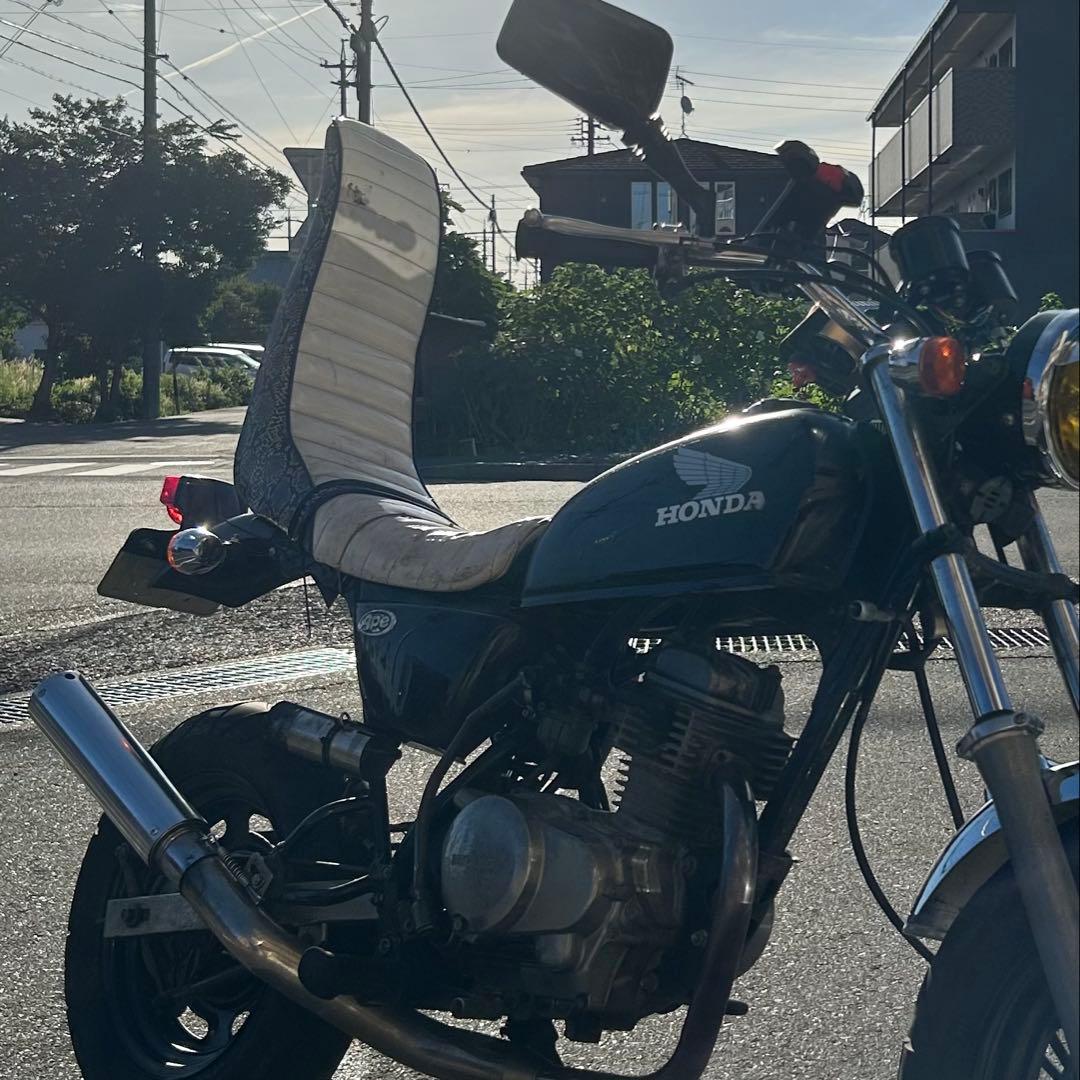 レア エイプ50三段シート(蛇柄)