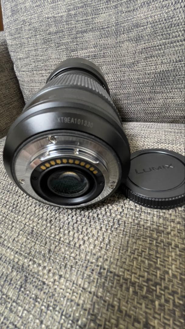 Panasonic LUMIX GVARIO 100-300㎜F4-5.6Ⅱ