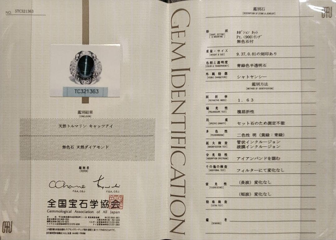 激レア‼️超大粒　9ct超え　くっきり猫目　グリーントルマリンキャッツアイ　pt