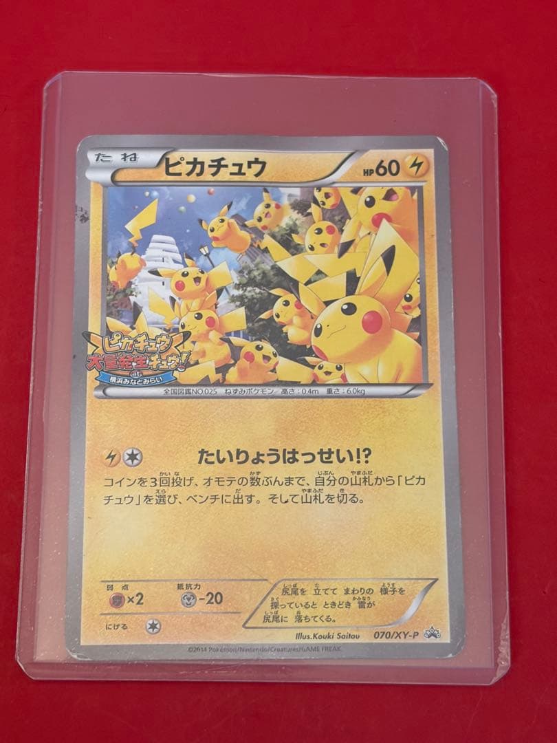 ポケモンカード ピカチュウたいりょうはっせい!? 070/XY-P