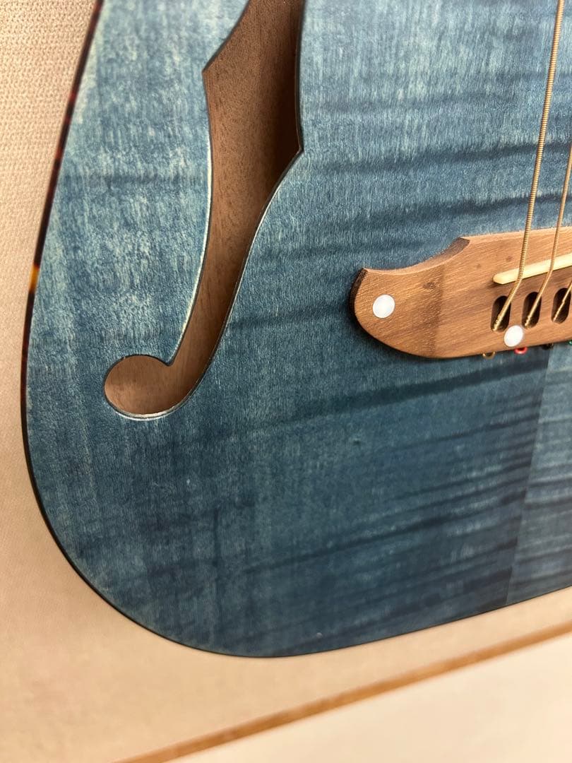 SCHECTER シェクター OL-FL