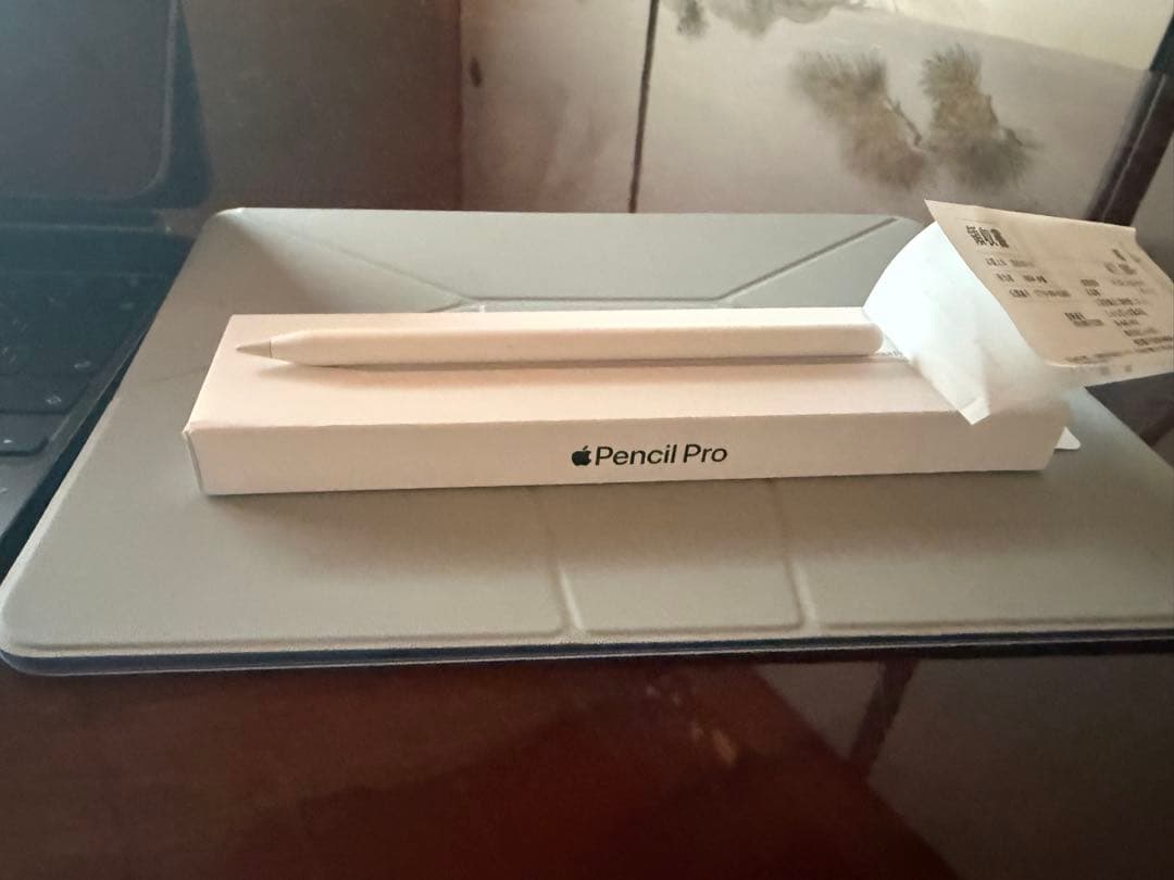 iPad Pro 13インチ Wi-Fi ＋ Cellular 256GB