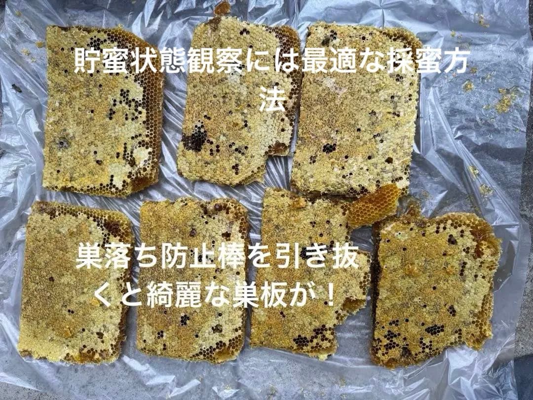 日本蜜蜂 重箱式巣箱4段 スライド底板 付巣門台座