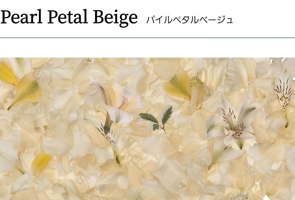 新品未開封 ドクターメソッド ガードルLL3枚＋ショーツLL 1枚 計4点