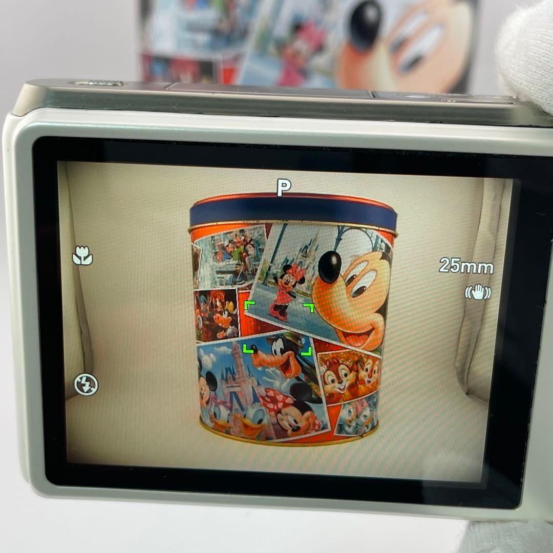 実写美⭕️美品【動作確認済】CASIO EX-ZR800　EXILIM