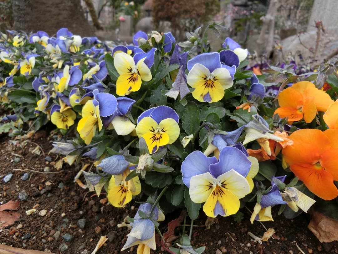 実写美⭕️美品【動作確認済】CASIO EX-ZR800　EXILIM