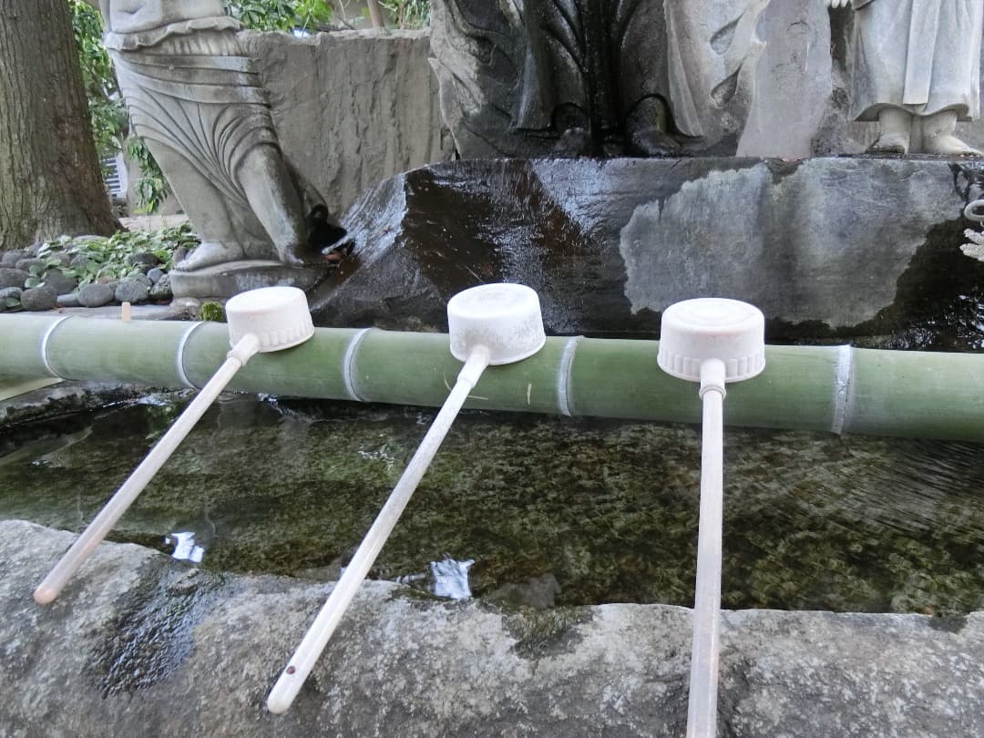 実写美⭕️美品【動作確認済】CASIO EX-ZR800　EXILIM