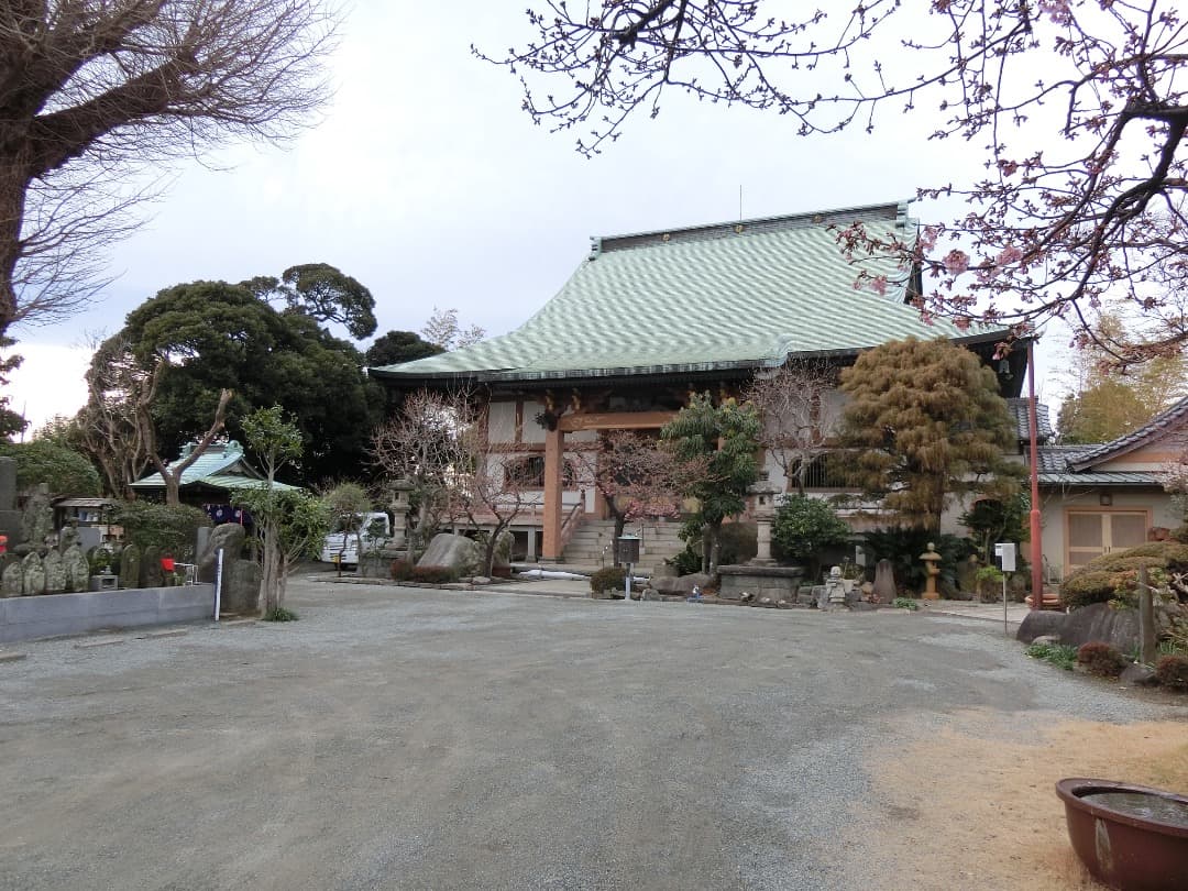 実写美⭕️美品【動作確認済】CASIO EX-ZR800　EXILIM