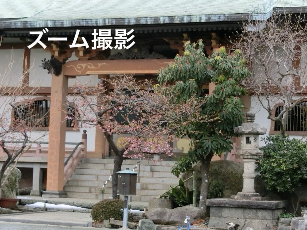 実写美⭕️美品【動作確認済】CASIO EX-ZR800　EXILIM